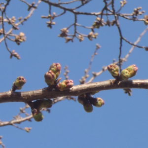 ３／２６平和公園