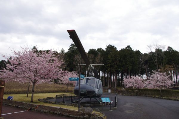 4/12樹空の森