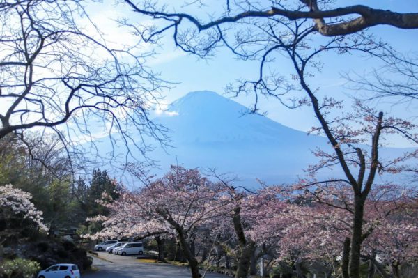 4/5平和公園