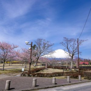 ４／５桜公園