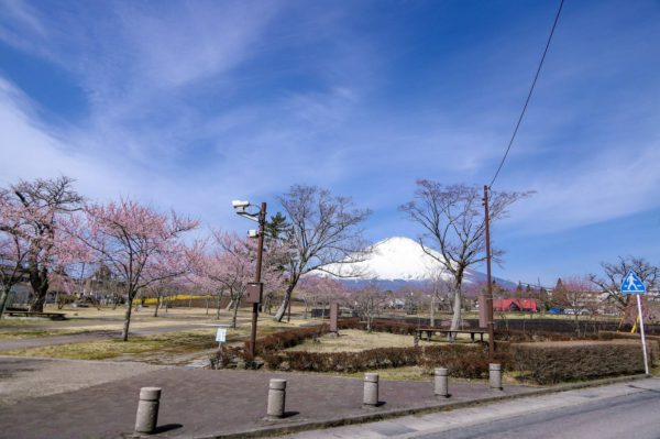 4/5桜公園