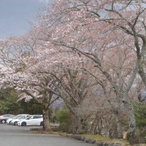 ４／１平和記念公園