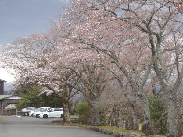 4/1平和記念公園