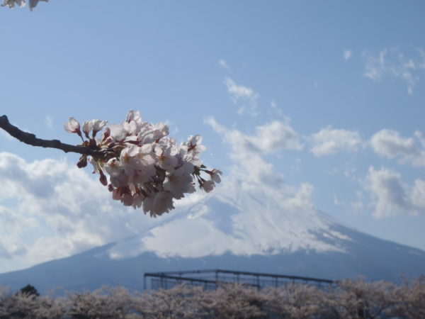 4/9東山湖