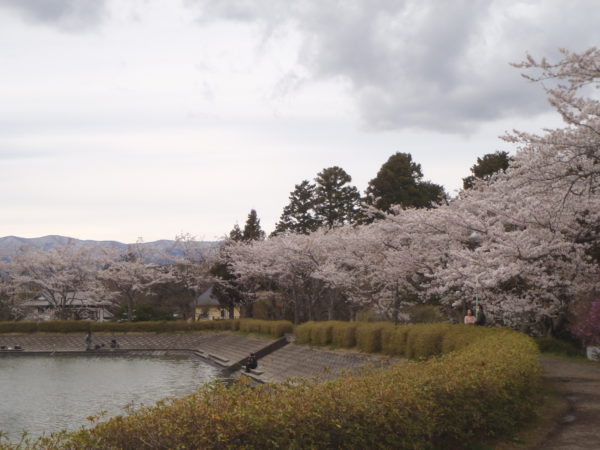 4/11東山湖