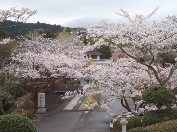 4/12平和公園