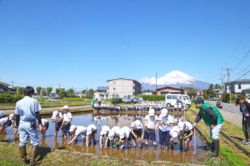 1taue1 361x240
