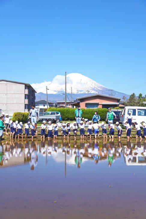 1taue4 486x729