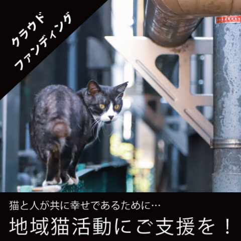 返納品イメージ