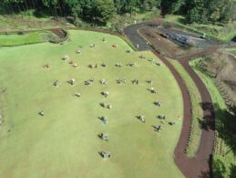 だいち2号にうつろう Daichi