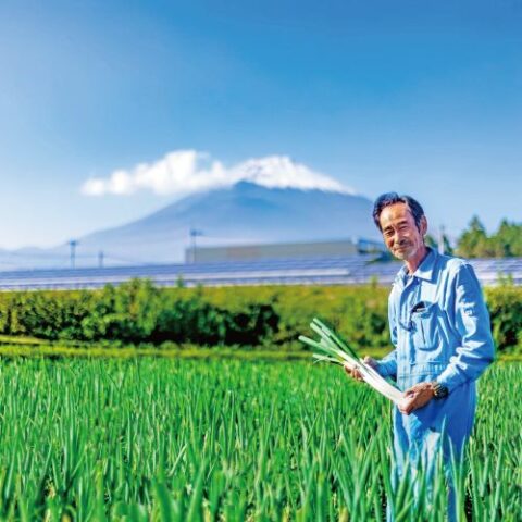 返納品イメージ