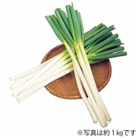 返納品イメージ
