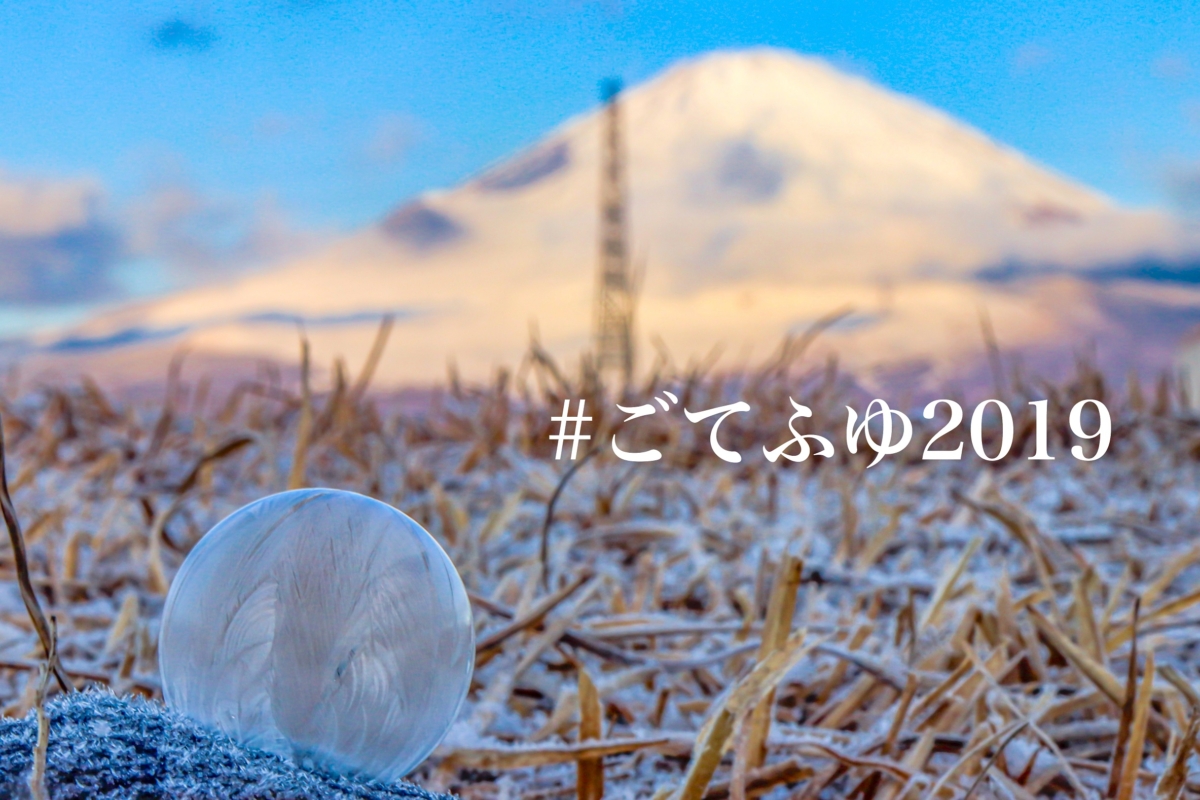 ごてふゆ2019