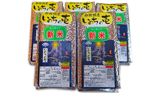 返納品イメージ
