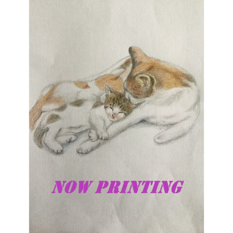 命を大切にするまちづくり！人と猫との共生を目指してu2026「地域猫活動 