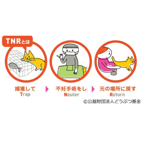 返礼品イメージその2