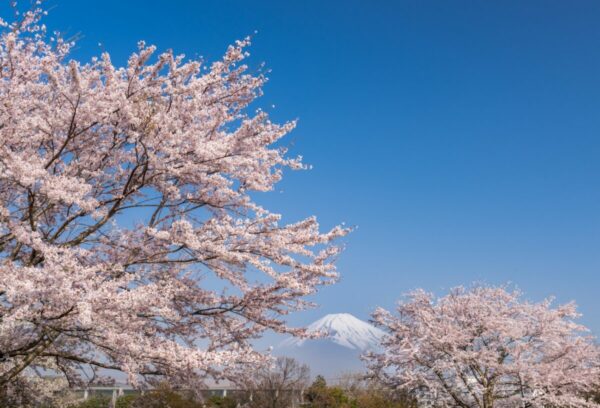 令和5年度御殿場市政カレンダー4月