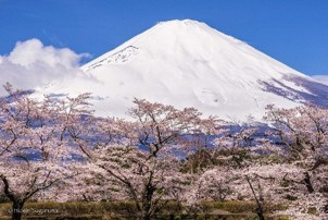 菅沼英巳さん