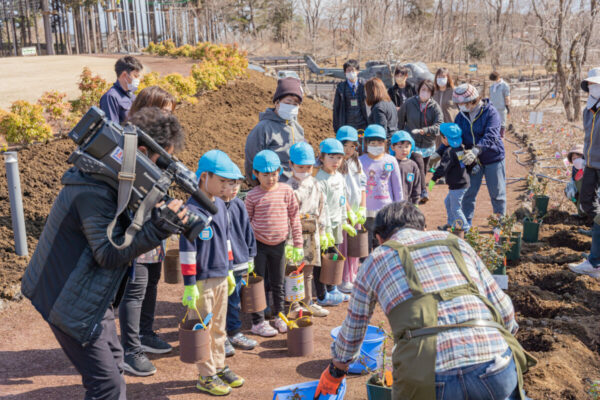 印野こども園植栽3