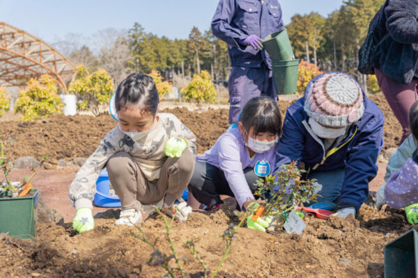 印野こども園植栽4