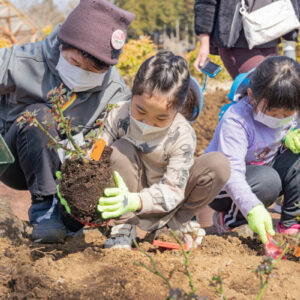 印野こども園植栽1
