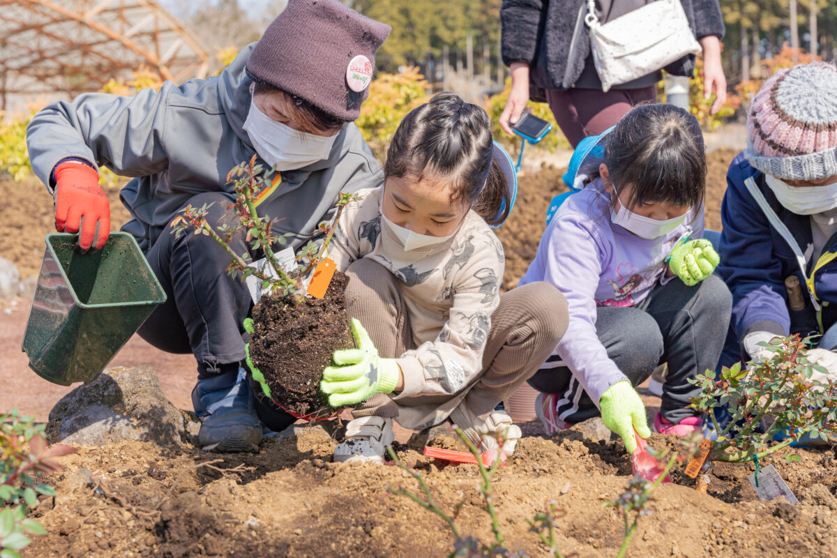 印野こども園植栽1