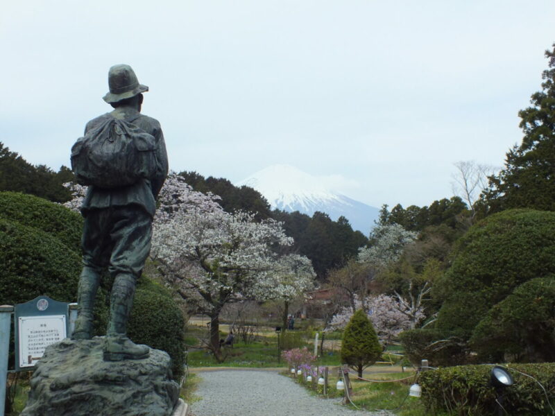 『望む富士の山』 遠藤昌彦さん(神奈川県厚木市)場所:秩父宮記念公園