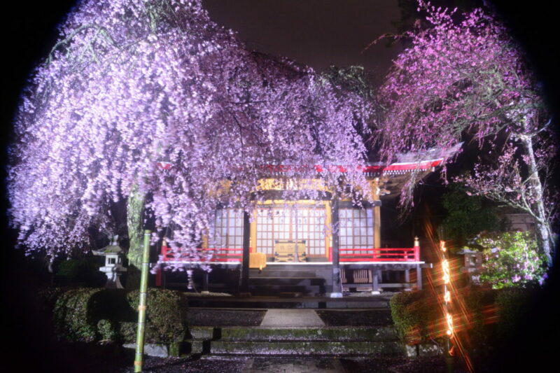 『雨上がりの夜』 岩脇徹さん(御殿場市川島田)場所:東山観音堂