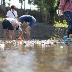 水辺の教室写真2