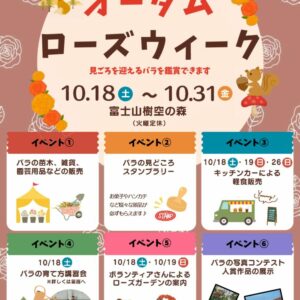 チラシ表のサムネイル