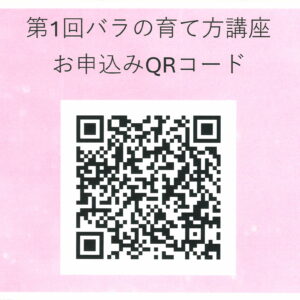 バラの育て方講座