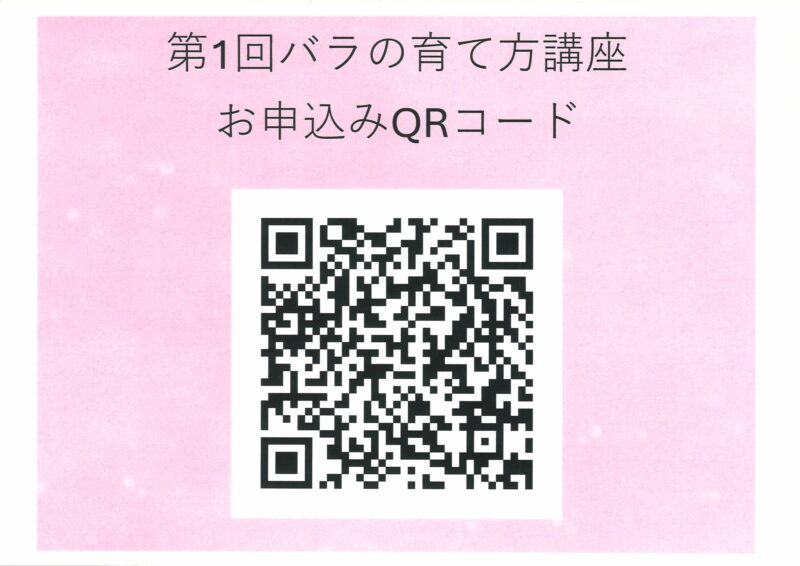 バラの育て方講座