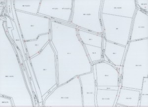 地籍調査後　地籍図（イメージ）