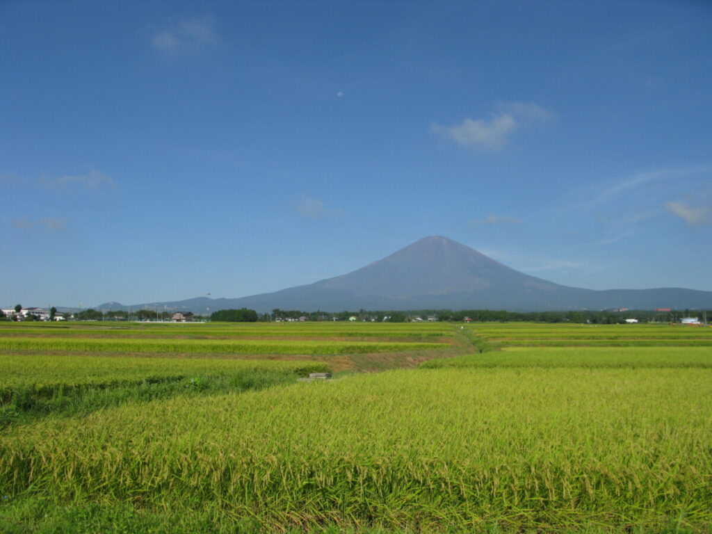 御殿場市は、静岡県東部にある世界遺産「富士山」の麓の高原都市です