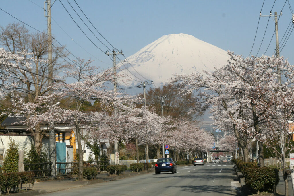 富士山