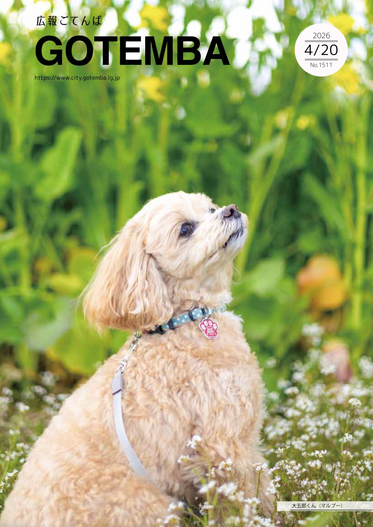 広報ごてんば表紙