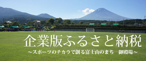 企業版ふるさと納税 企業版ふるさと納税