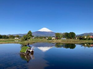 田植え