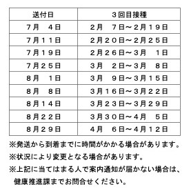 送付日一覧