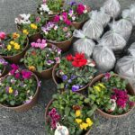 キッズガーデニング花