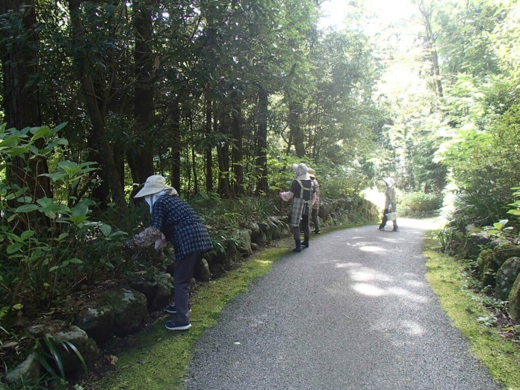公園整備２