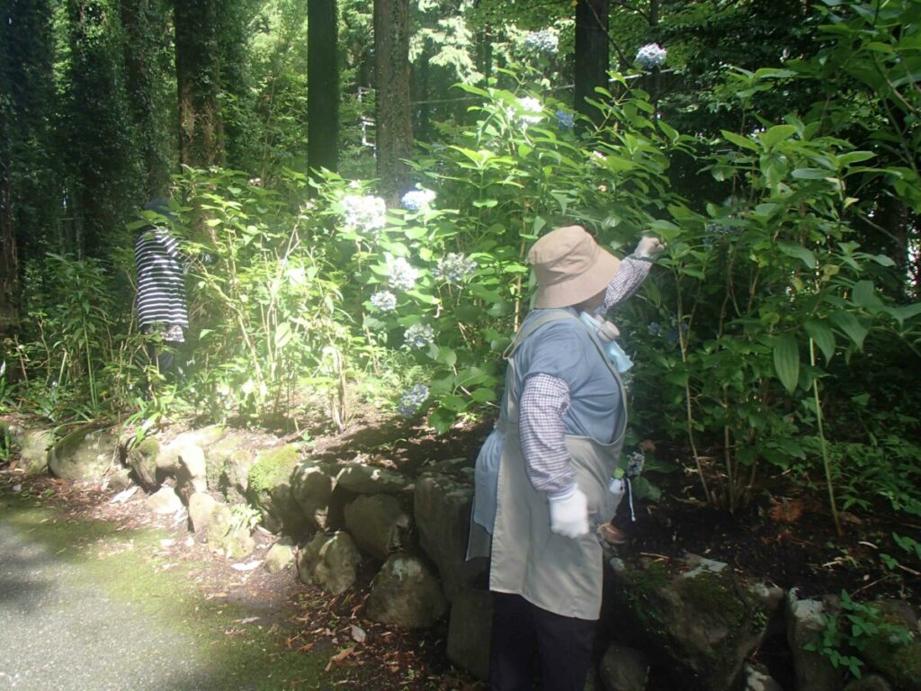 公園整備１