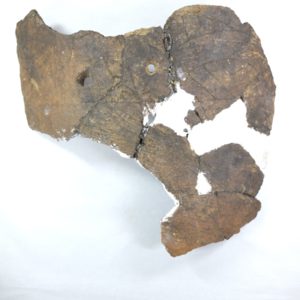 山の神遺跡出土遺物