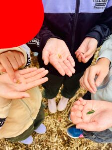 「木の日にあわせてゆうのもりで森林環境学習」を実施しました