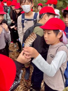 「木の日にあわせてゆうのもりで森林環境学習」を実施しました