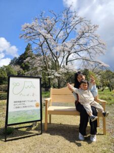 「第24回 御殿場桜まつり」に「ごてんばっ木(こ)」富士山ベンチの新しい仲間が初お出かけしました!