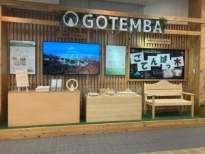 市役所で「ごてんばっ木(こ)」展示会を開催中!