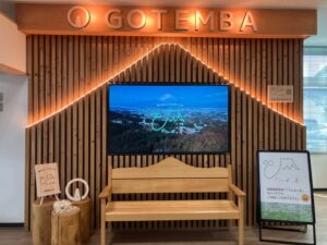 市役所東館で「ごてんばっ木(こ)」展示中!