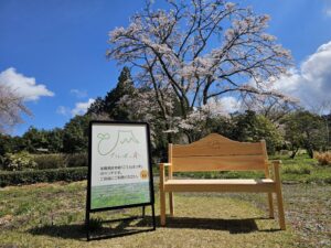 「ごてんばっ木(こ)」富士山ベンチが、シルバーウィークに御殿場市体育館へお出かけしてきました